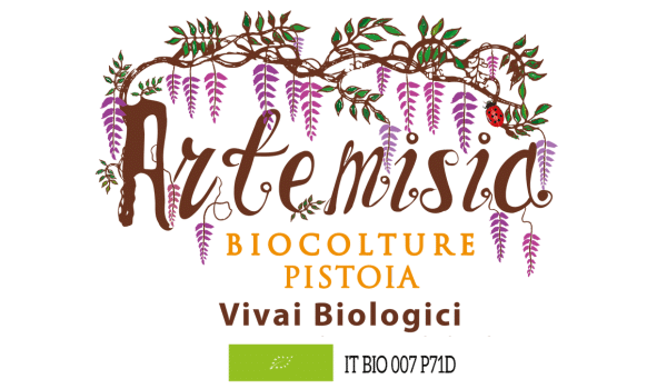 Artemisia | Azienda Vivaistica Biologica